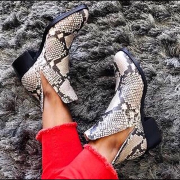 Steve Madden Shoes - Steve Madden Conspire Natural Snake Bootie